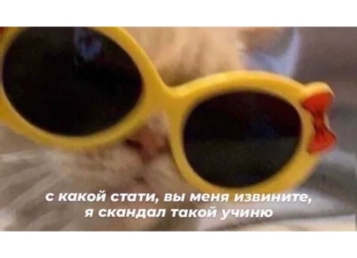 accessory spectacles goggles