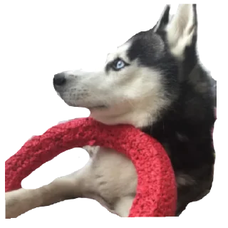 Стикер Плюнча - 8