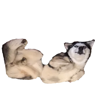 Стикер Плюнча - 0