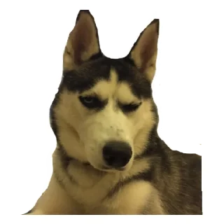 Стикер Плюнча - 6