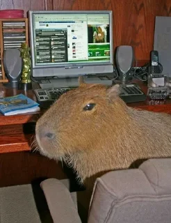 Стикер Больше стиков: @stickery_tg - 10