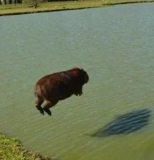 Стикер Больше стиков: @stickery_tg - 3