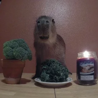 Стикер Больше стиков: @stickery_tg - 5