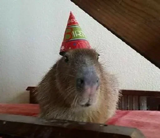 Стикер Больше стиков: @stickery_tg - 8