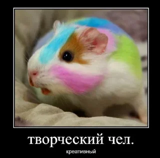 Стикер Больше стиков: @stickery_tg - 11