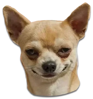 Той Андрій, що Панібудьласка by @fStikBot - животное