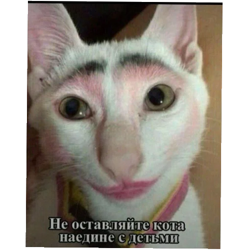 Sticker PoPrikolu642 - 1