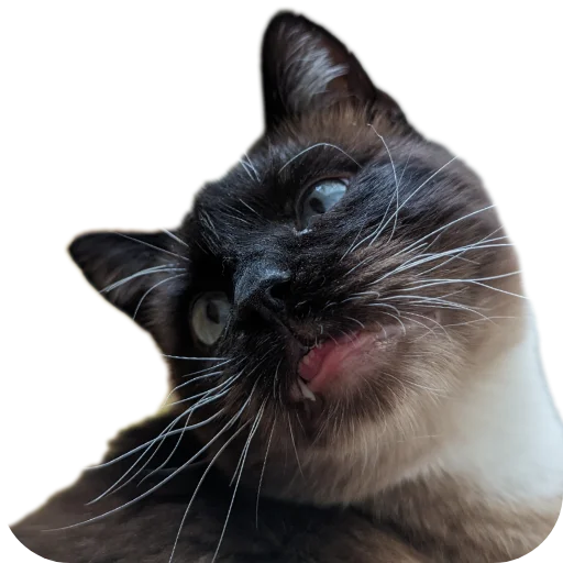 Стикер Poc894 - 1