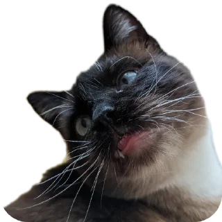 Sticker Poc_pack - 2