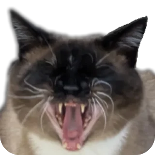 Sticker Poc_pack - 7