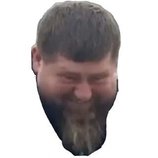 Sticker Poc_pack - 3