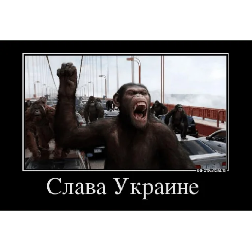 Sticker Poccua22828 - 1