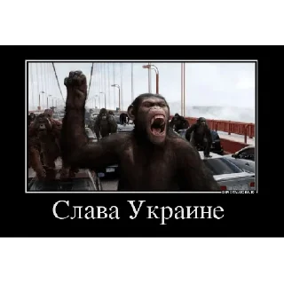 Sticker Пиздец - 2