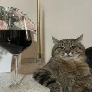 Sticker Белимбо🥴 - 9