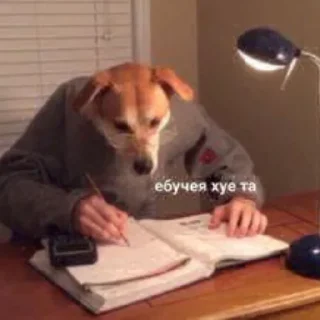 Sticker Белимбо🥴 - 3