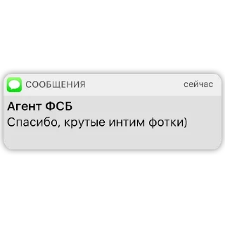 Стикер Карманный ФСБшник @KivzasPantry - 0