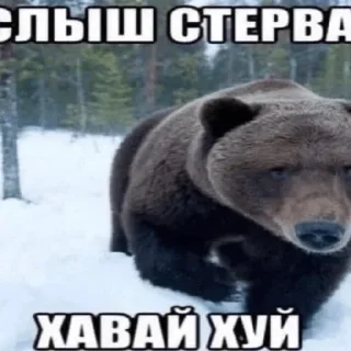 Sticker @StickersFuck1 - 3