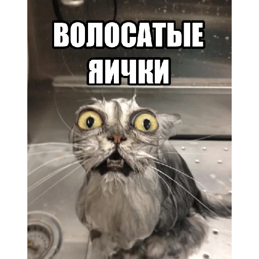 Стикер Pod1ebal113 - 1