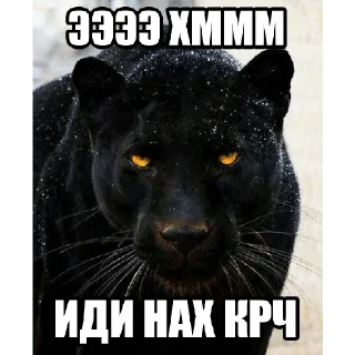 Стикер @StickersFuck1 - 3