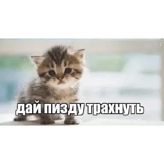 Sticker @StickersFuck1 - 10