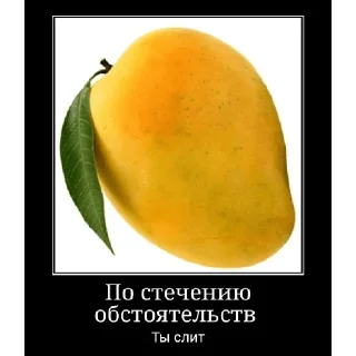 Sticker @StickersFuck1 - 5