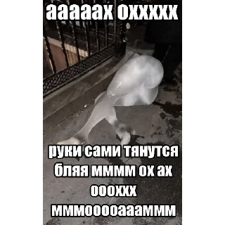 Sticker @StickersFuck1 - 9