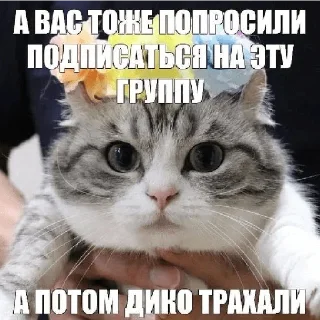 Стикер @StickersFuck1 - 8