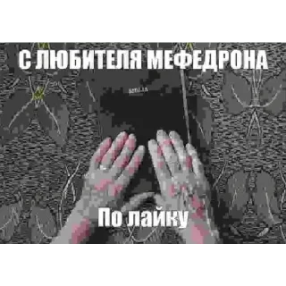 Стикер @StickersFuck1 - 7