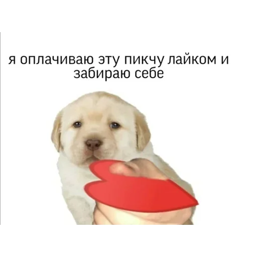 Sticker Pod1ebal49 - 1