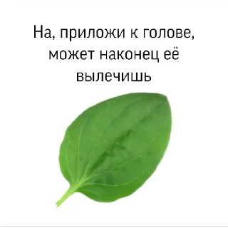 Sticker @StickersFuck1 - 0