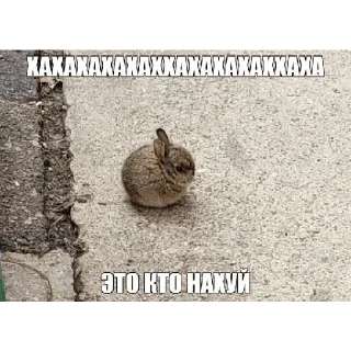 Sticker @StickersFuck1 - 6