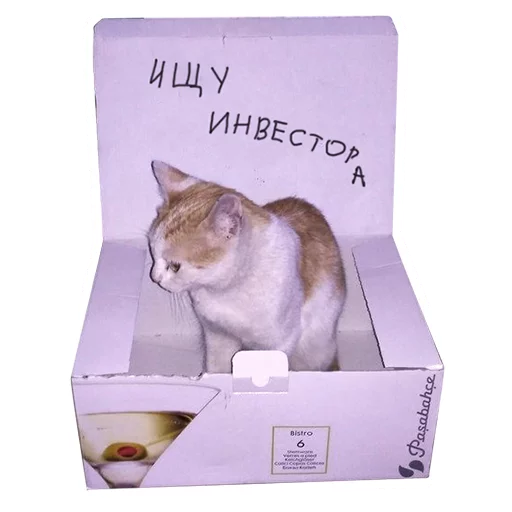 animal box container