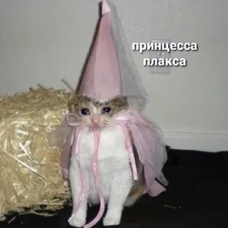 Sticker Подборка Барсука - 8