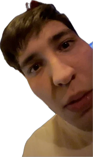 Стикер Podolsk_Delegation - 1