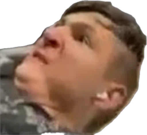 Sticker Podolsk_Delegation - 1