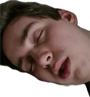 Стикер Подольская делегация - 2