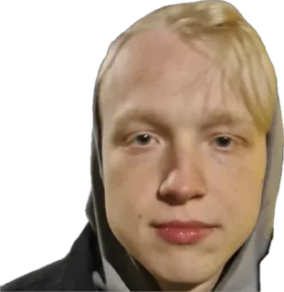 Стикер Подольская делегация - 4