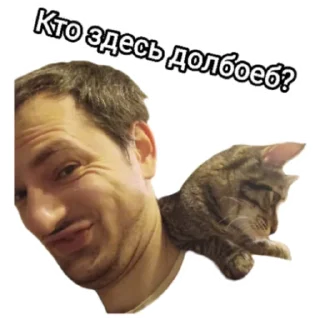 Стикер Подписчики бати - 11