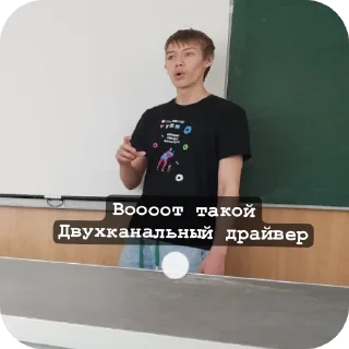Sticker Подвалыши солнца - 0
