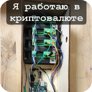 Sticker Подвалыши солнца - 8