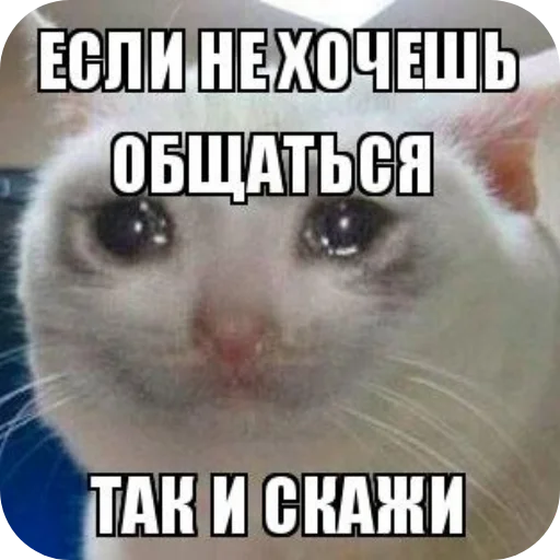 Стикер Pogovorim42 - 1