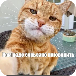 Стикер Поговорим - 3