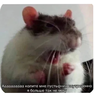 Стикер Поговорим - 8