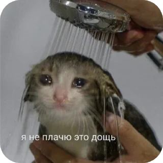 Стикер Поговорим - 7