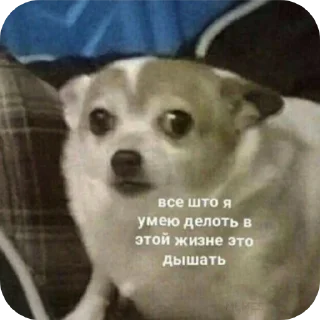 Стикер Поговорим - 2