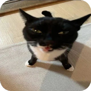 Sticker Похимиизадали - 8