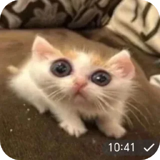 Sticker Похимиизадали - 9