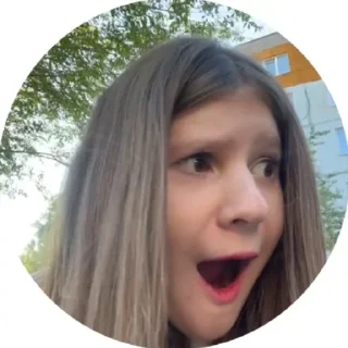 Sticker Похимиизадали - 4