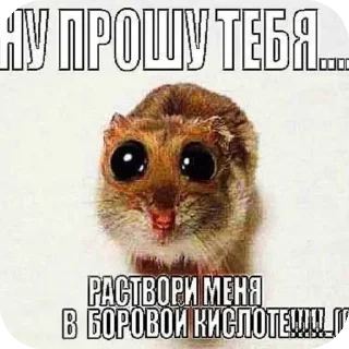 Sticker Похимиизадали - 0