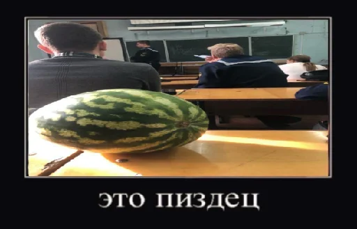 дыня фрукт арбуз